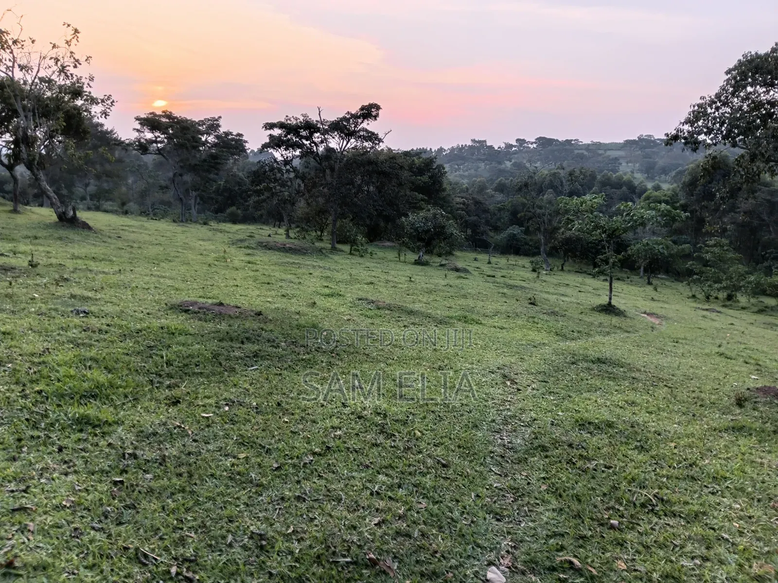 Land Suitable for Farming