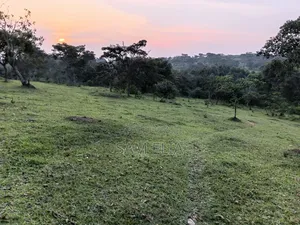 Land Suitable for Farming