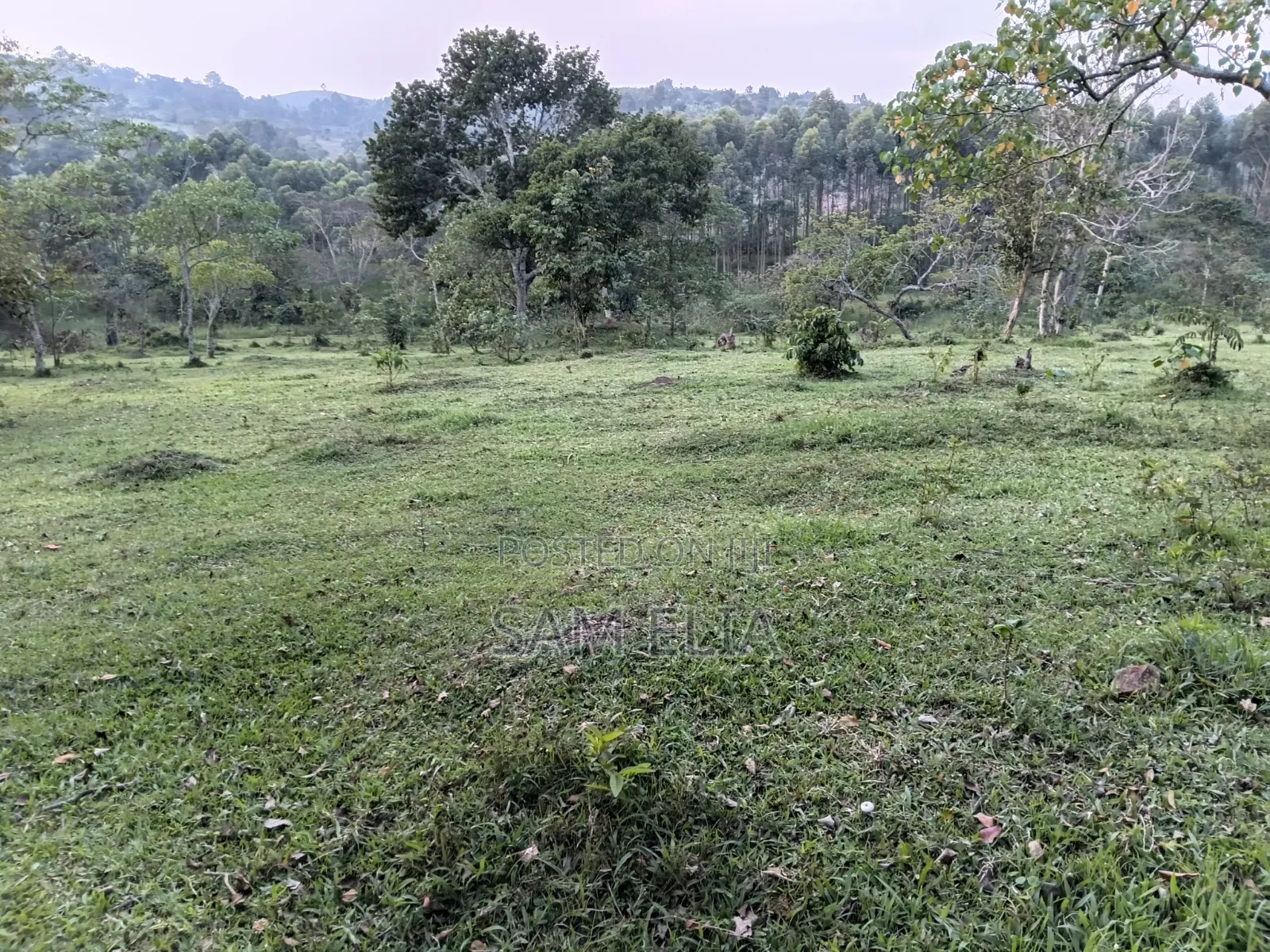 Land Suitable for Farming
