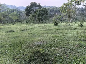 Land Suitable for Farming