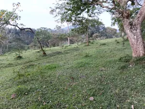 Land Suitable for Farming