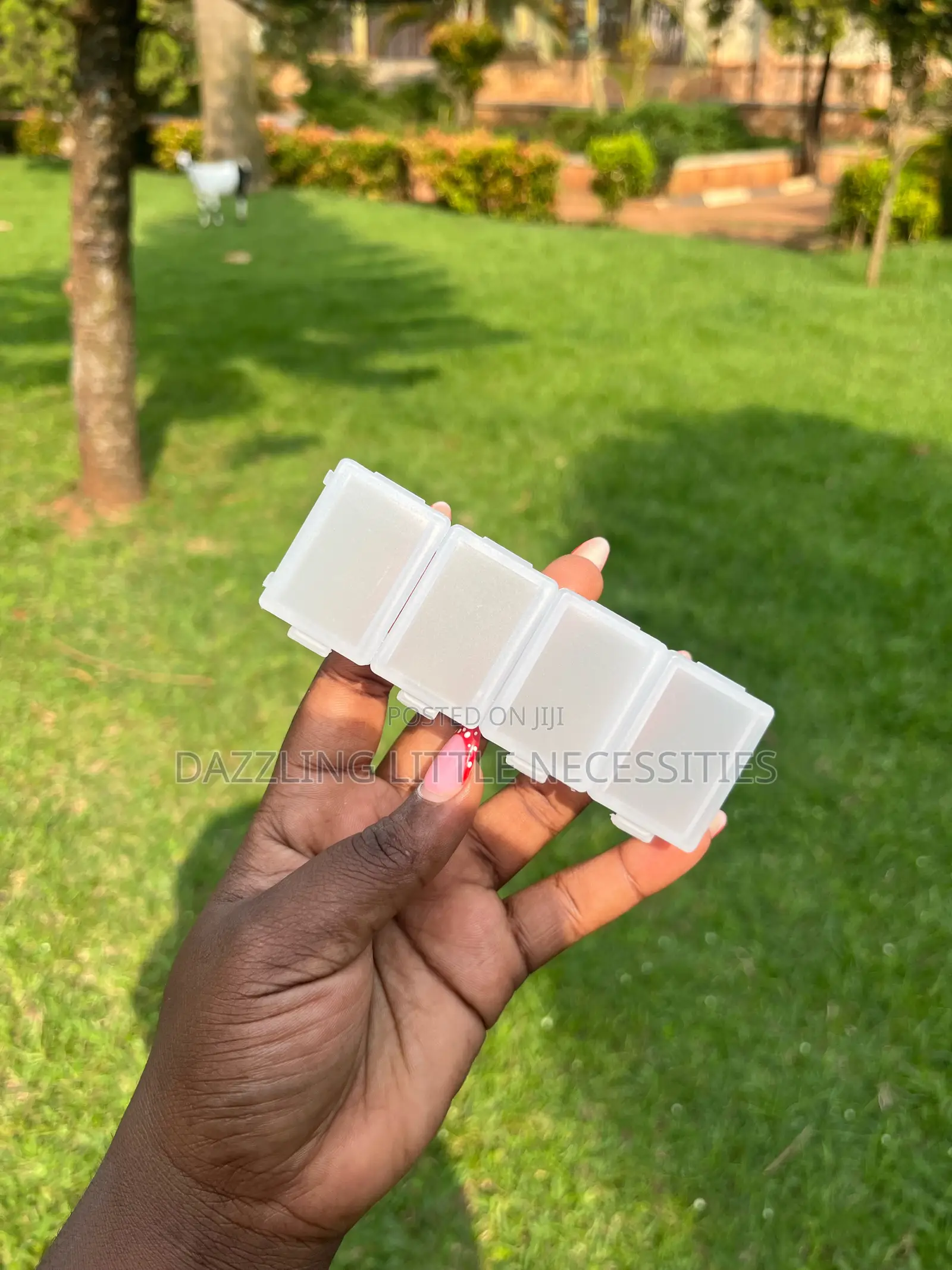 Quad 4 in 1 Pill Case Organizer (White)