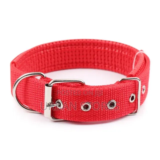 1 PC Nylon Dog Collar