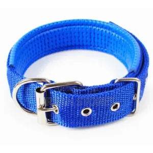 1 PC Nylon Dog Collar