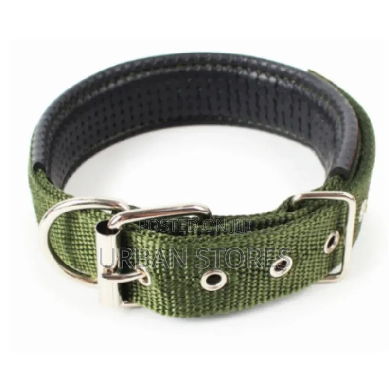 1 PC Nylon Dog Collar