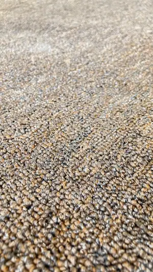 Sittingroom Carpets Per Squaremeter