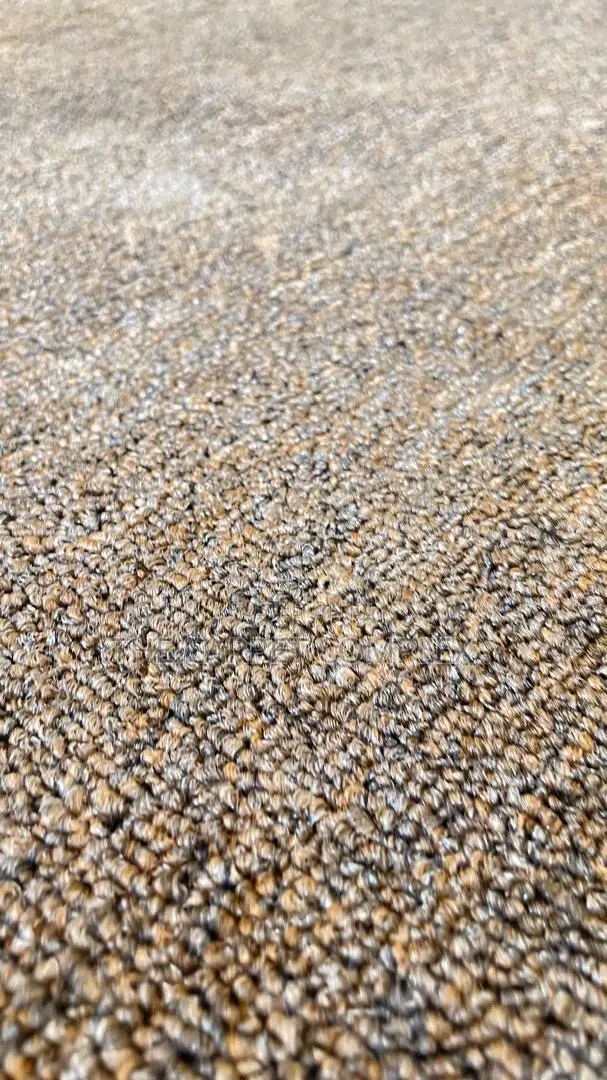 Sittingroom Carpets Per Squaremeter