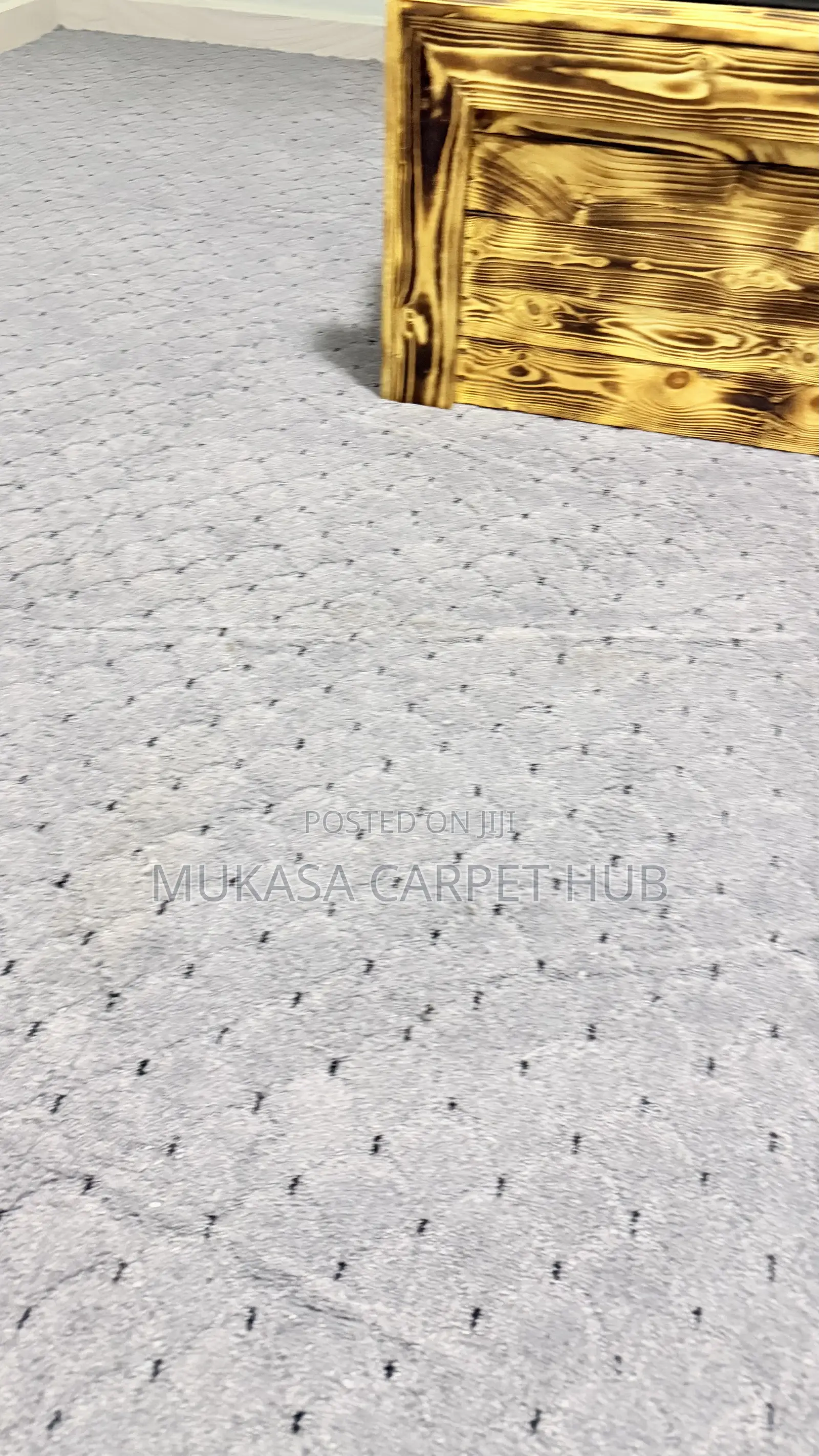 Soft Grey Dot Carpet for Bedroom Living Room