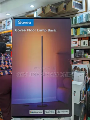Govee RGB Floor Lamp Smart With Alexa