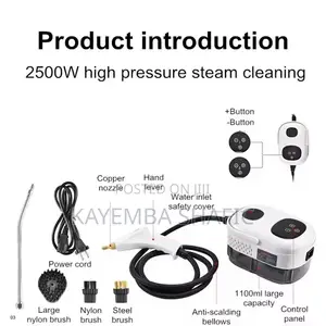 2500W Portable High Pressure Handheld Steam Cleaner Machine