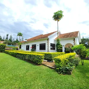 5bdrm Bungalow in Bugolobi, Central Division for rent