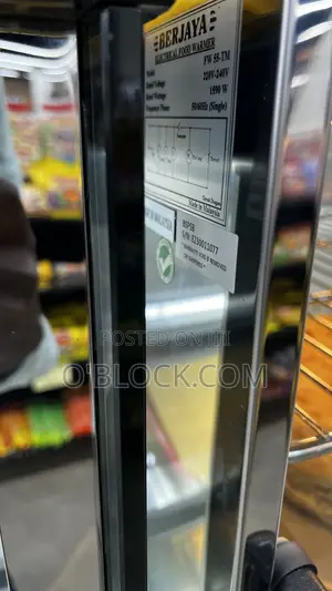 Electrical Food Warmer