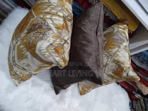 Beautiful Throw Cushions for Sofa Bed