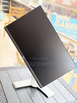 Dell 24 Inch Screen IPs