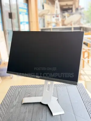 Dell 24 Inch Screen IPs