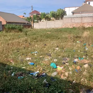 100 Ft X 100 Ft Plot on Quicksale Just After Munyonyo on Kigo Rd