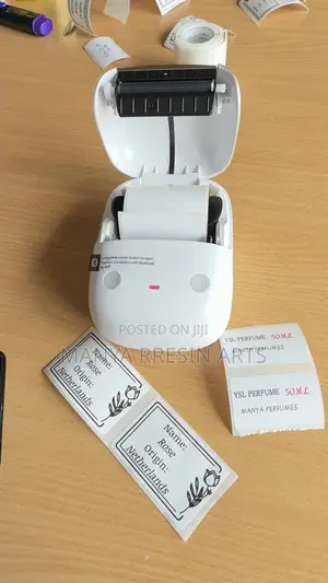 NIIMBOT B2Pro