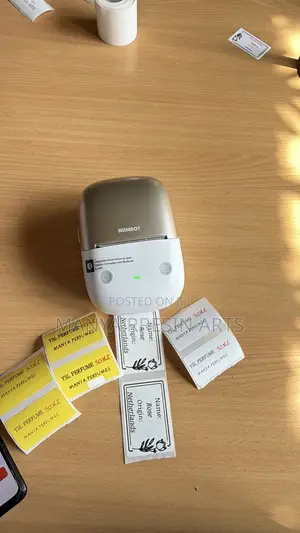 NIIMBOT B2Pro