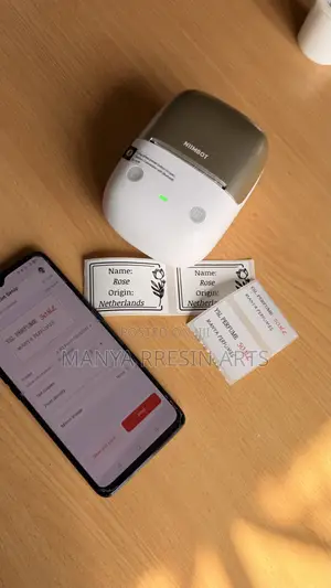 NIIMBOT B2Pro
