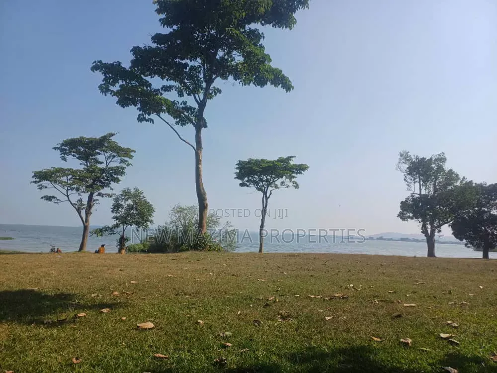 Plots Measuring Direct on Lake on Quicksale in Heart of Busabaala