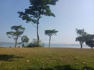 Plots Measuring Direct on Lake on Quicksale in Heart of Busabaala