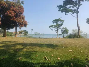 Plots Measuring Direct on Lake on Quicksale in Heart of Busabaala