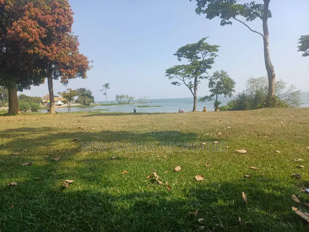 Plots Measuring Direct on Lake on Quicksale in Heart of Busabaala