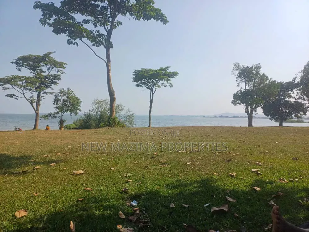 Plots Measuring Direct on Lake on Quicksale in Heart of Busabaala