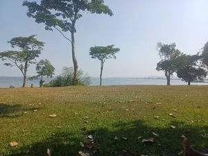 Plots Measuring Direct on Lake on Quicksale in Heart of Busabaala