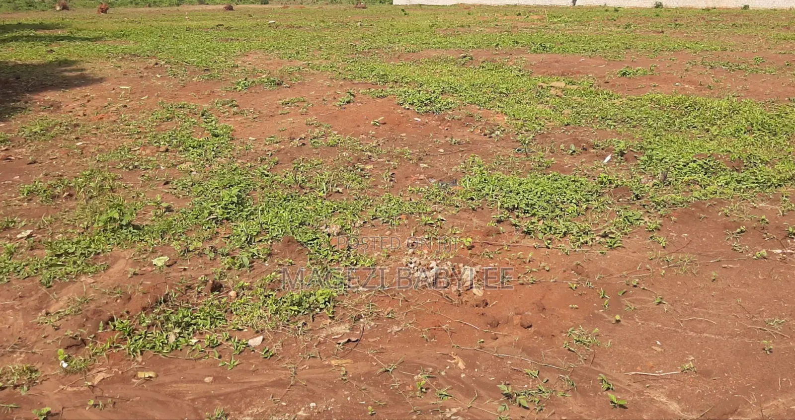 Land for Sale