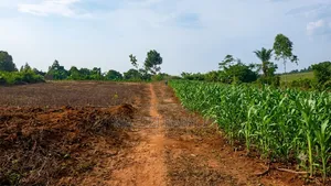 Plot for Sale