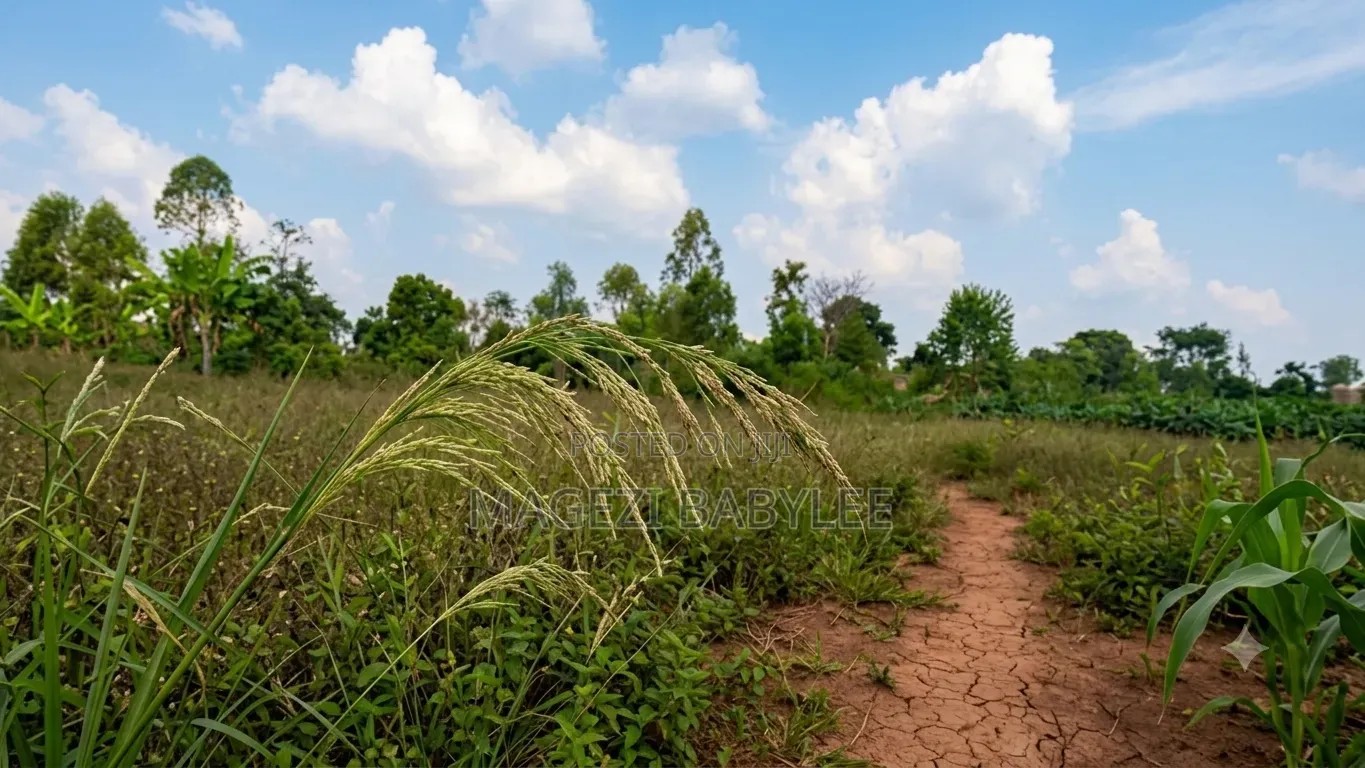 Plot for Sale
