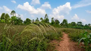 Plot for Sale