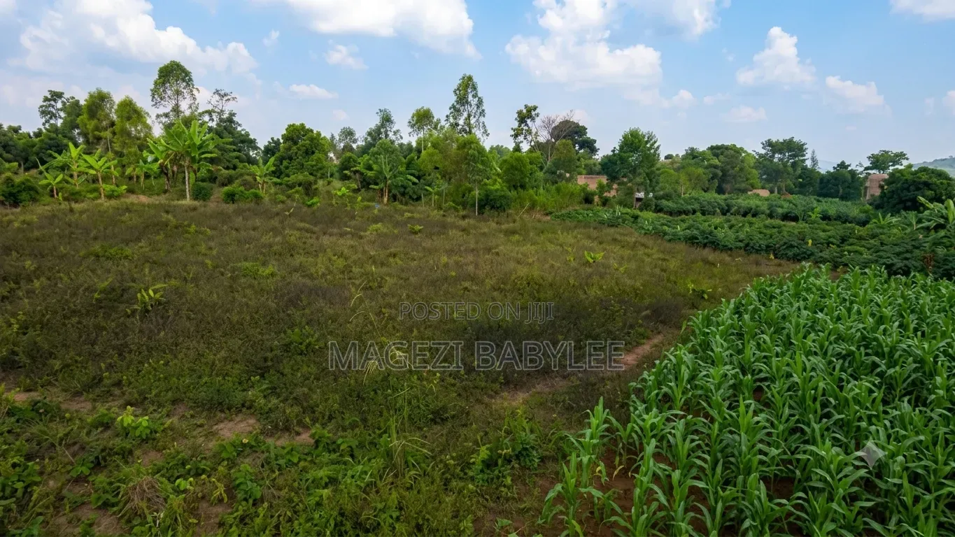 Plot for Sale