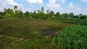 Plot for Sale