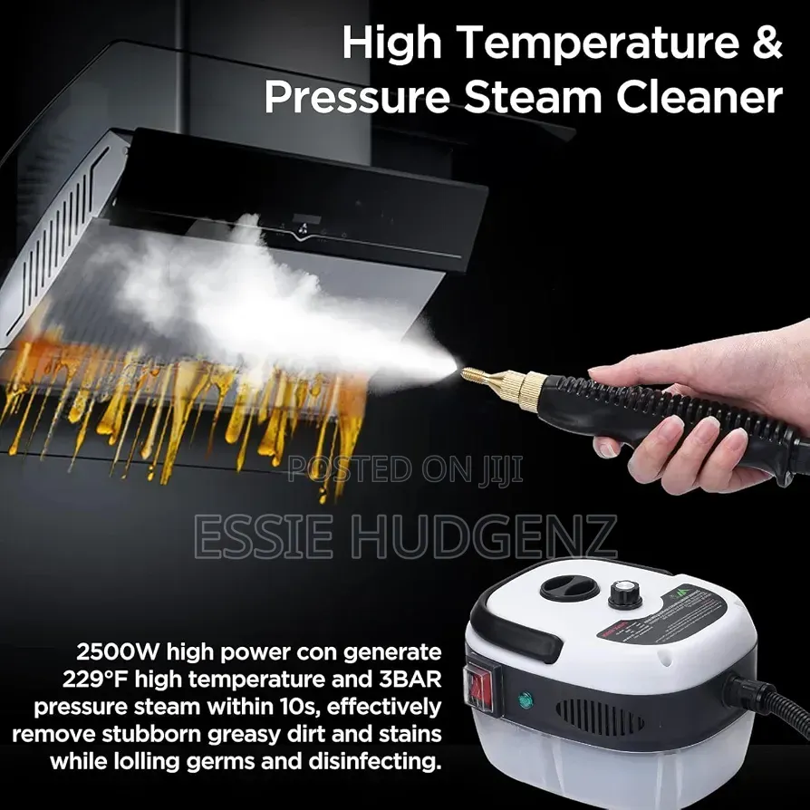 Steam Cleaner for Mattress, Couch, Furniture, Car Detailing,home Use