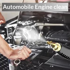 Steam Cleaner for Mattress, Couch, Furniture, Car Detailing,home Use