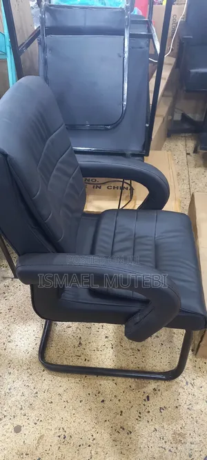 Office and Salon Chair