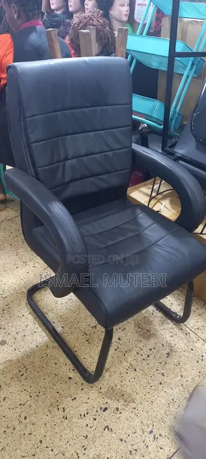 Office and Salon Chair
