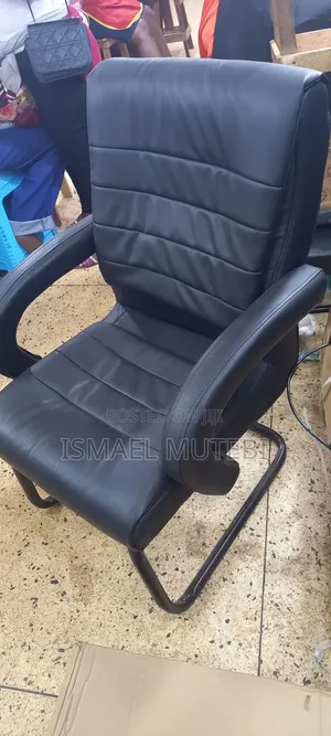 Office and Salon Chair