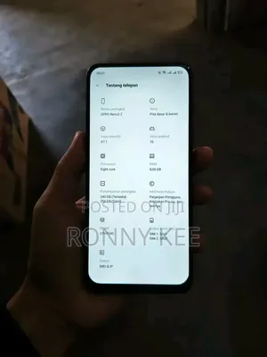 Oppo Reno 2Z 256 GB Silver