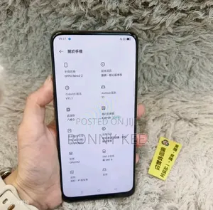 Oppo Reno 2Z 256 GB Silver