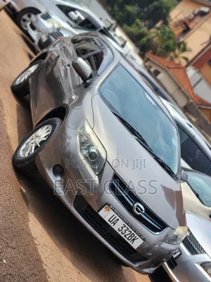 Toyota Corolla Fielder 2010 Gray