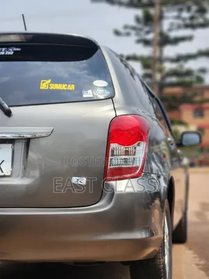 Toyota Corolla Fielder 2010 Gray
