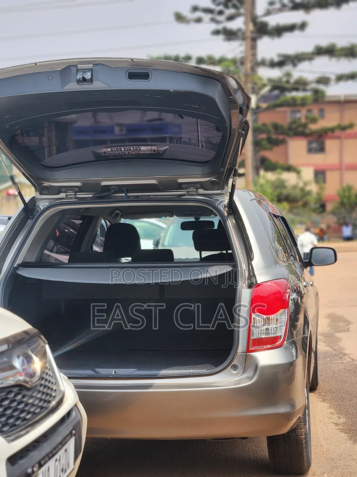 Toyota Corolla Fielder 2010 Gray