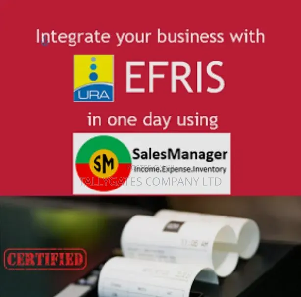 EFRIS Integration Services