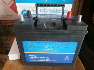 N45 / NS60 Buffalo Battery
