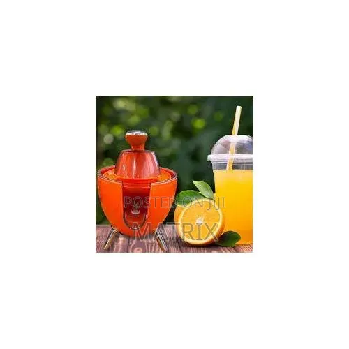 Electric Citrus Press Juicer