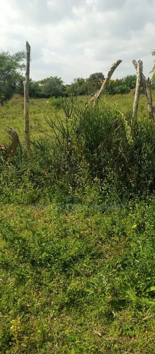 200 Acres for Sale in Kalagala -Nakaseke