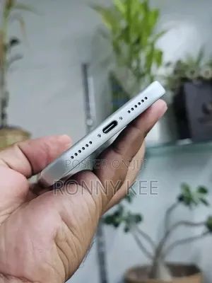 New Apple iPhone 17 Pro Max 256 GB Silver